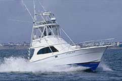 STOLAT Fishing Charters