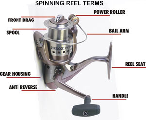 Saltwater Fishing Rods and Reels at Fishing-NC.com