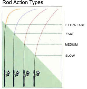 Fishing Rod Action Types